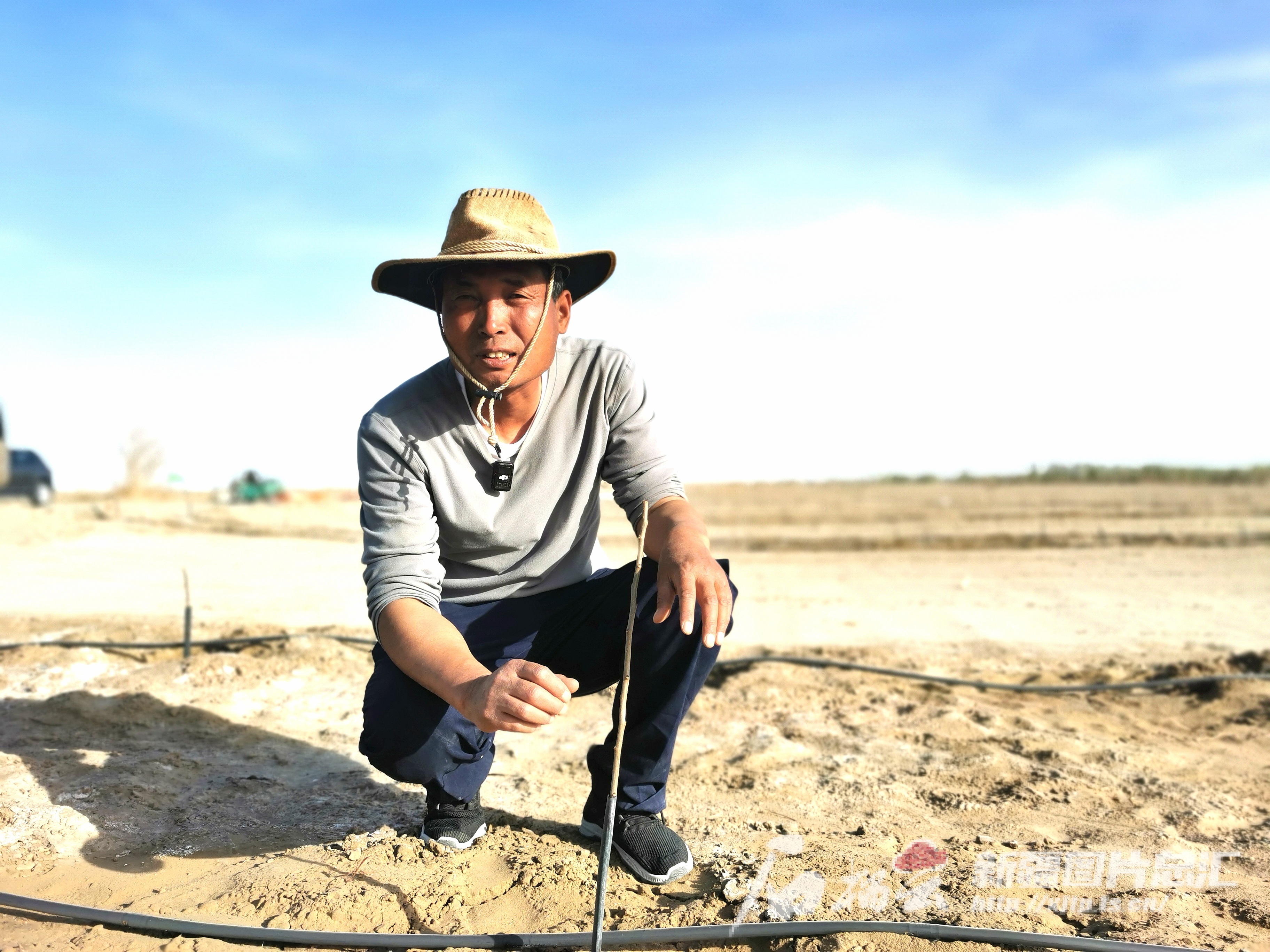 “老兵治沙队”转型种文冠果(图1)